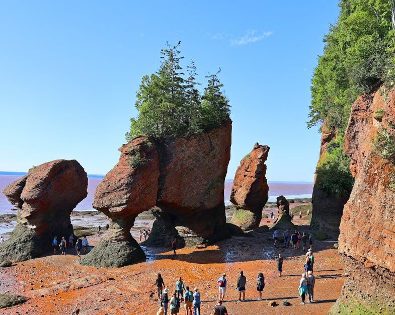 Fundy National Park, New Brunswick, Canada